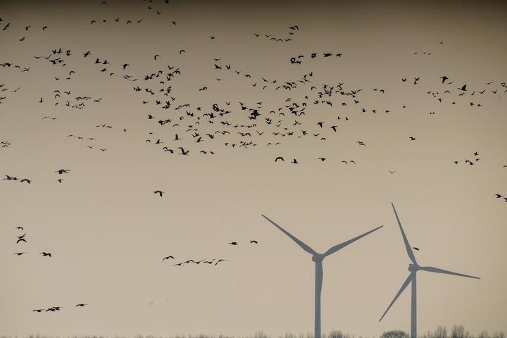 公司所属风电设备板块同期下跌0.69%